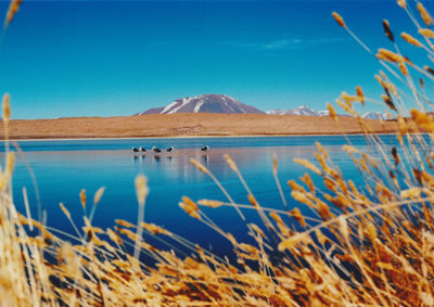 Scenic view of mountains against blue sky