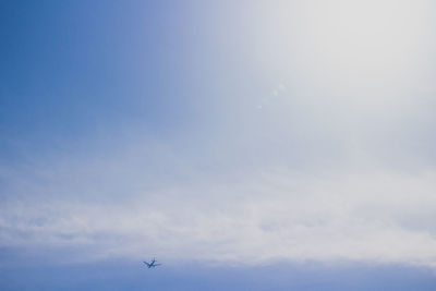 Low angle view of bird flying in sky