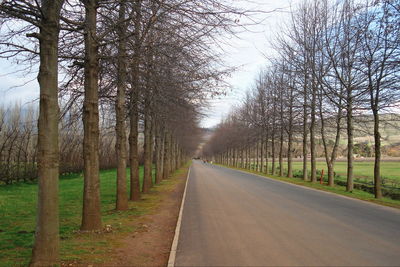 Road amidst bare trees against sky