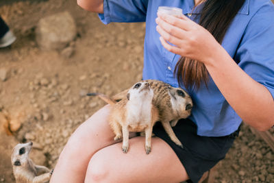 Midsection of man with dog