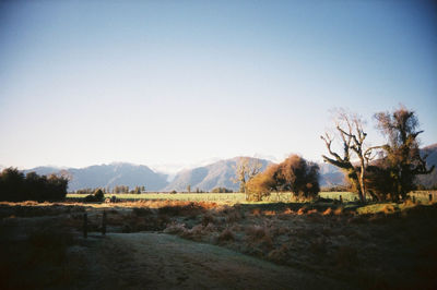 Scenic view of landscape against clear sky