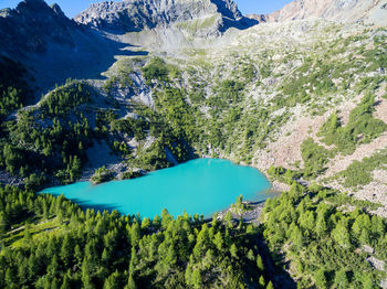 High angle view of trees by lake