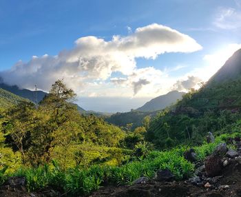 Scenic view of landscape against sky