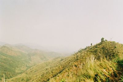 Scenic view of landscape against clear sky