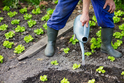 Low section of men working on farm