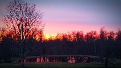 Silhouette trees in forest against romantic sky at sunset