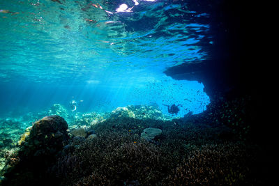 People swimming in sea