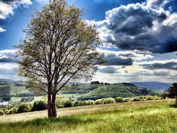 Scenic view of grassy field against cloudy sky