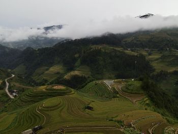 Scenic view of agricultural field