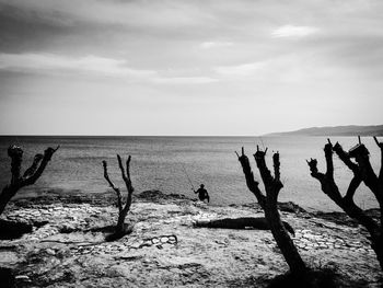 Silhouette birds on beach against sky
