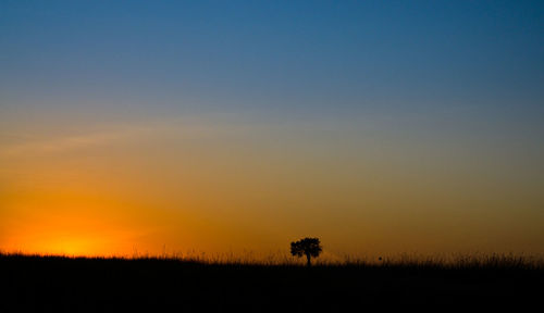 Scenic view of silhouette field against clear sky during sunset