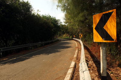 Surface level of road along trees