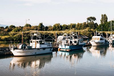 Boats moored in harbor