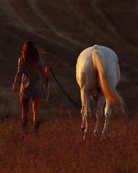 Rear view of woman walking with horse on field during sunset