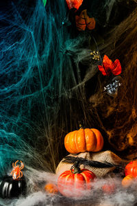 Close-up of pumpkin with orange flowers