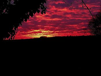 Low angle view of silhouette trees against sky during sunset