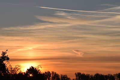 Low angle view of silhouette trees against orange sky