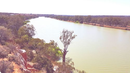 Reflection of trees in water