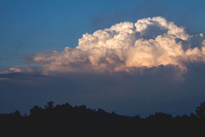 Low angle view of silhouette trees against sky during sunset