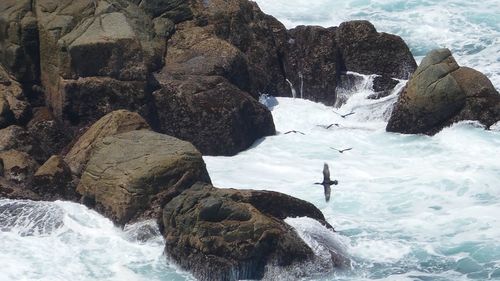 Rock formations by sea