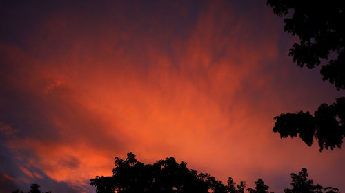 Low angle view of silhouette trees against dramatic sky