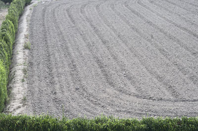 High angle view of field
