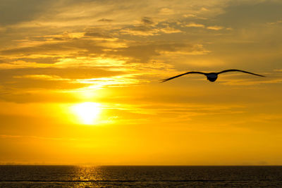 Scenic view of sea at sunset