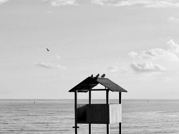 Bird flying over sea against sky