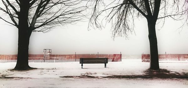 Empty bench in park