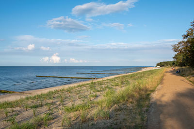 Scenic view of beach against sky