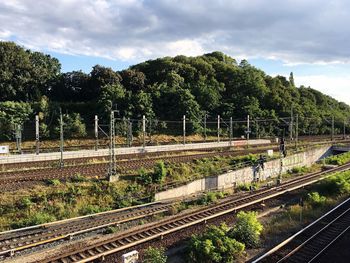 Railway tracks amidst trees against sky