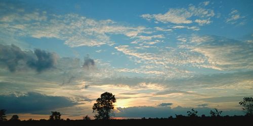 Low angle view of silhouette trees against sky during sunset