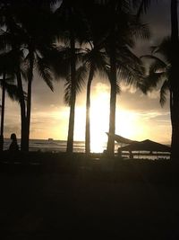 Silhouette of palm trees at sunset