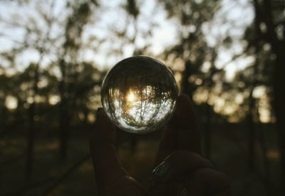 Low angle view of hand holding glass