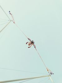 Low angle view of child in amusement park