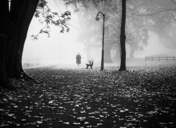 Person by trees at park during foggy weather