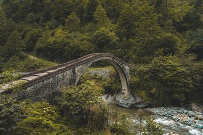 Bridge over stream amidst trees in forest