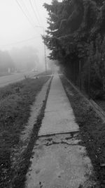 Road by trees against sky