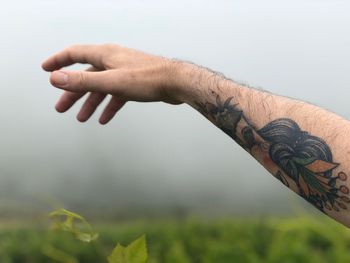 Close-up of man hand holding plant