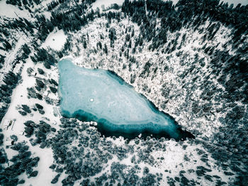 High angle view of turtle in frozen water