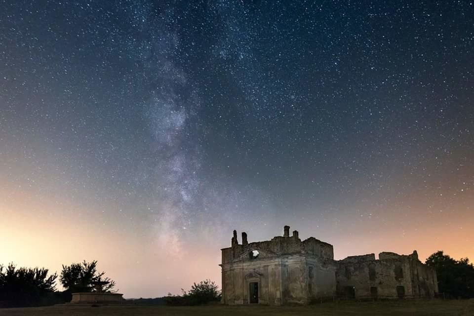 LOW ANGLE VIEW OF TREE AGAINST STAR FIELD