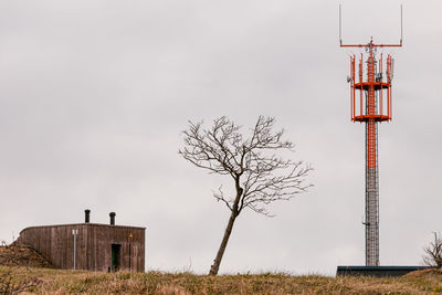 Bare tree on field against sky