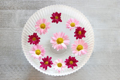 High angle view of fresh pink flowers on table