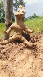 Close-up of dead tree on field