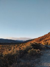 Scenic view of landscape against clear sky