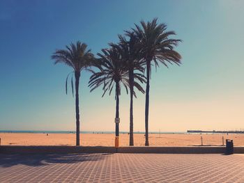 Palm trees on beach against clear sky