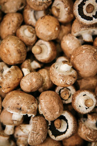 Full frame shot of mushrooms