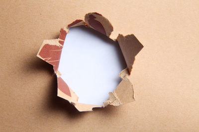 Close-up of torn cardboard