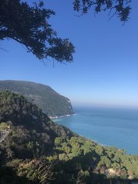 Scenic view of sea against clear blue sky