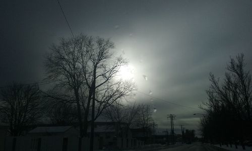 Bare trees against sky